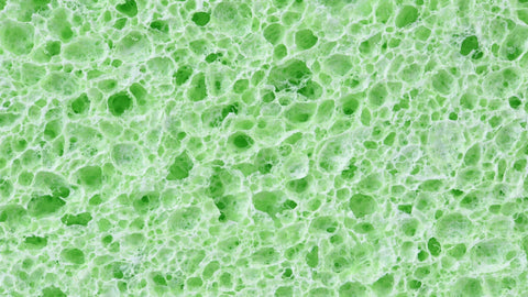 Cellulose Isn't a Filler: Why This "Indigestible" Fiber Is Essential for Real Energy and Gut Health