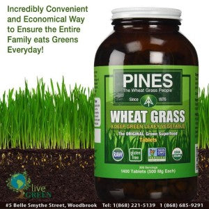 true-wheat-grass-tray