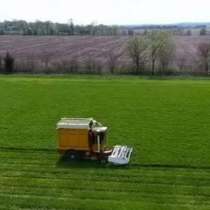 Annual Harvest of Real Wheatgrass in Northeastern Kansas