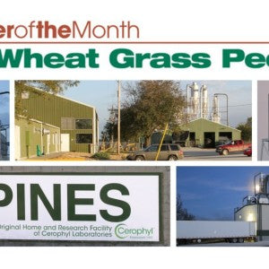 Supplier of the Month Honor Bestowed on Pines for Outstanding Ingredients