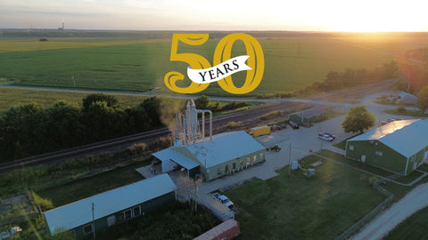 50 Years of Greens: How Pines Helped Invent the “Green Superfood”