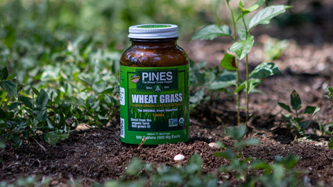 Why Single-Ingredient Greens Offer the Best Value