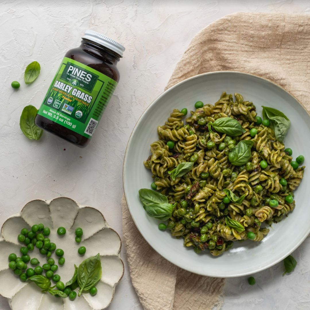 Barley Grass Tablets (500) – The Wheatgrass People