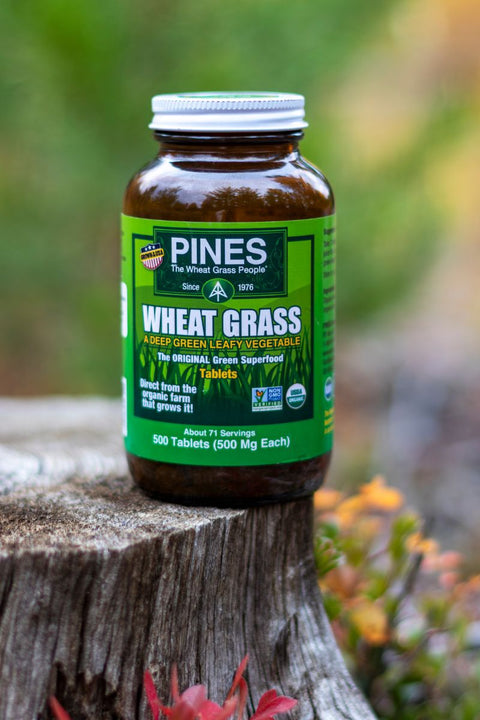 Harvest your daily greens this fall